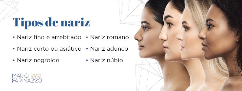 Tipos de nariz: nariz fino e arrebitado, nariz curto ou asiático, nariz negroide, nariz romano, nariz adunco e nariz núbio.