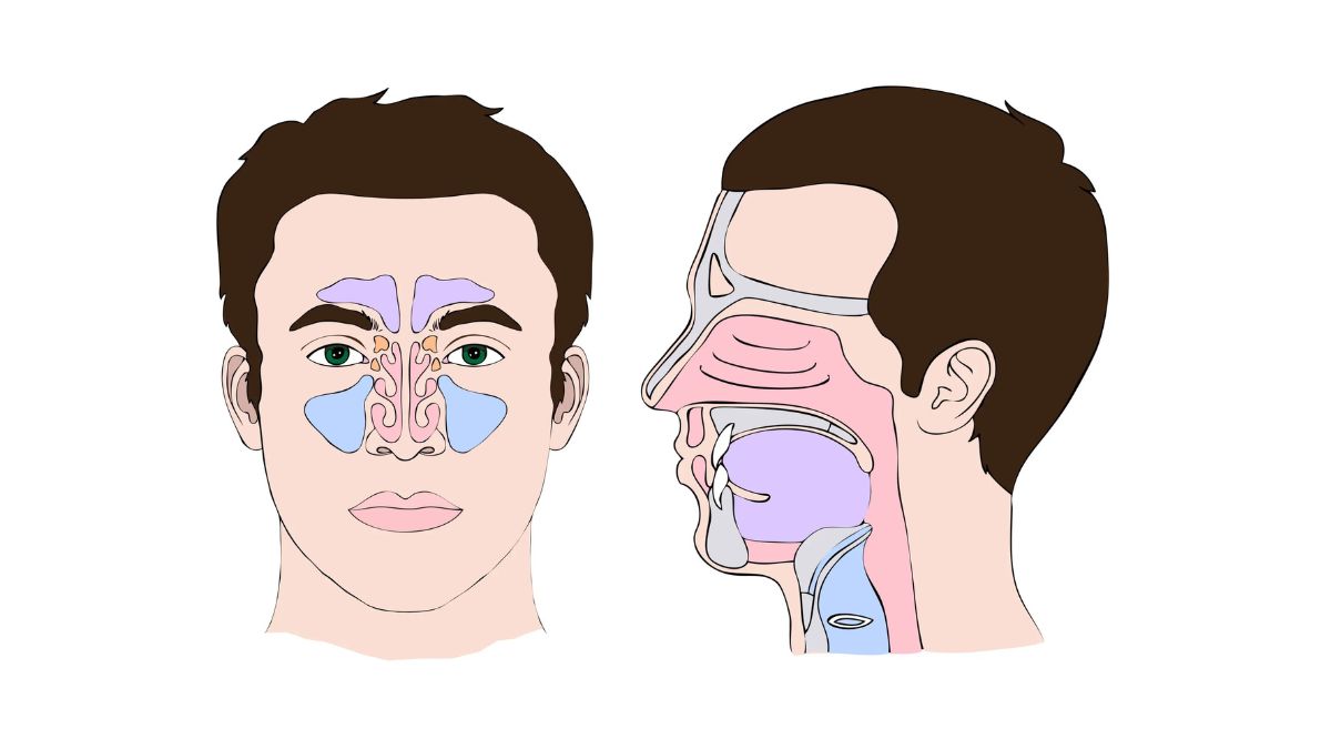 O que é a hipertrofia dos cornetos, quais seus sintomas e tratamentos?